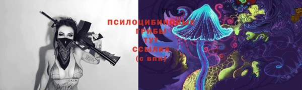 ПСИЛОЦИБИНОВЫЕ ГРИБЫ Среднеуральск