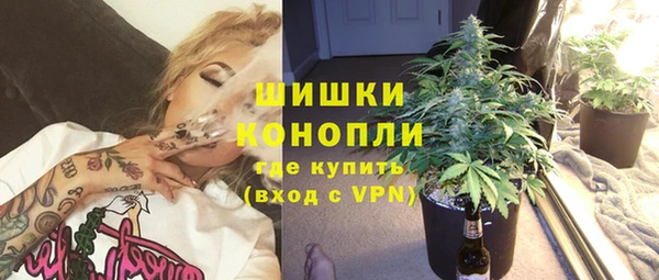 дживик Болохово