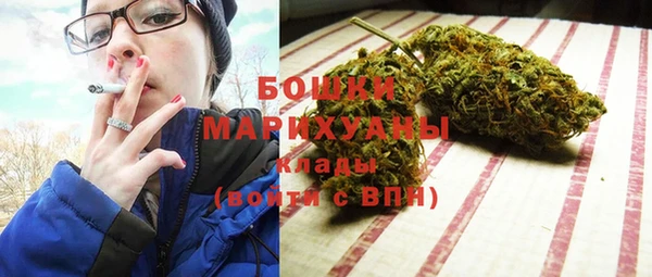 дживик Болохово