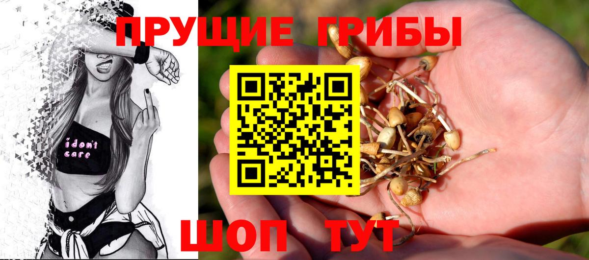 Псилоцибиновые грибы Cubensis Зима