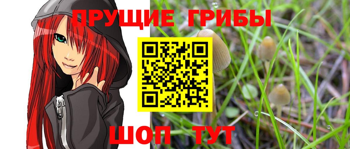 Псилоцибиновые грибы мухоморы  наркотики  Зима  Вход с VPN 